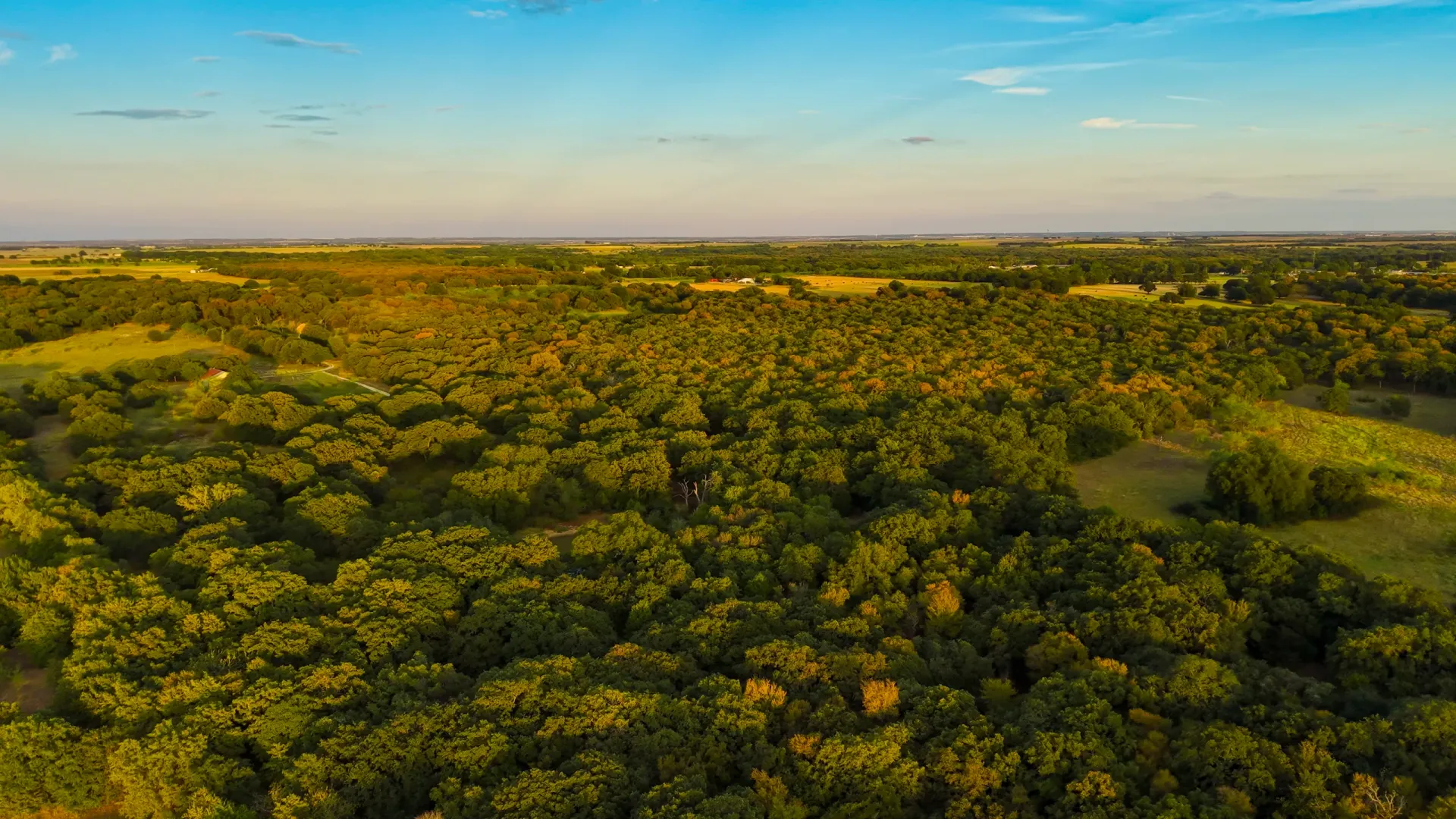 405 ± Acres in Hillsboro, Texas, photo 6