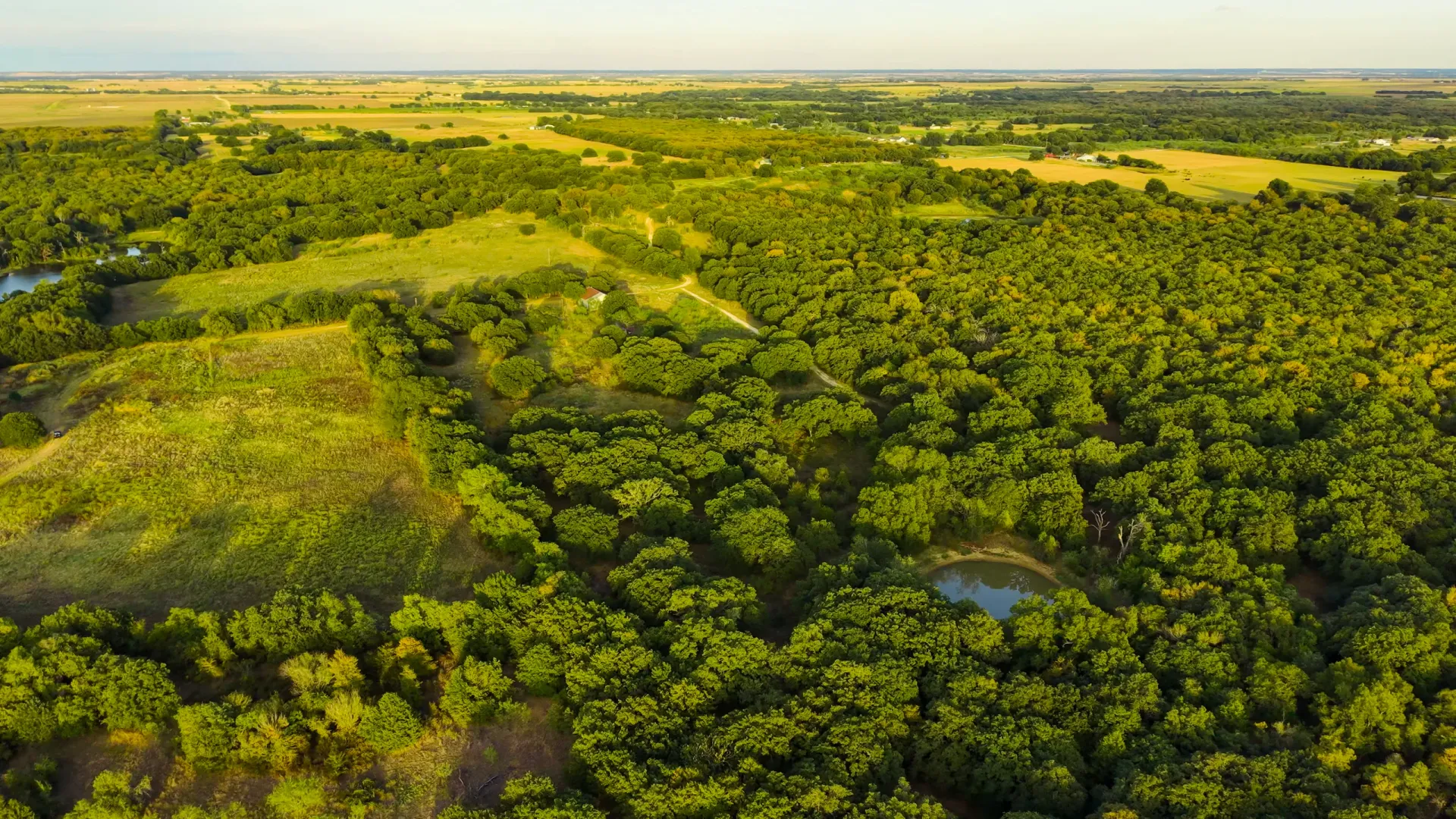 405 ± Acres in Hillsboro, Texas, photo 10