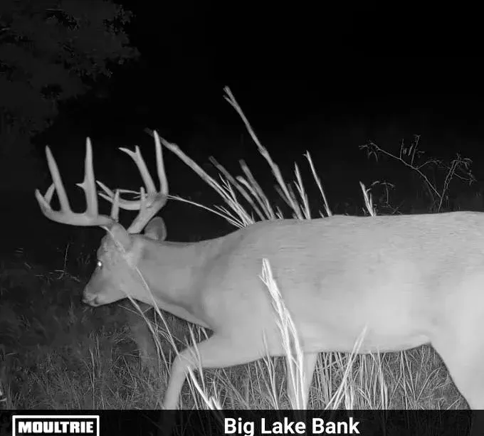 405 ± Acres in Hillsboro, Texas, photo 3