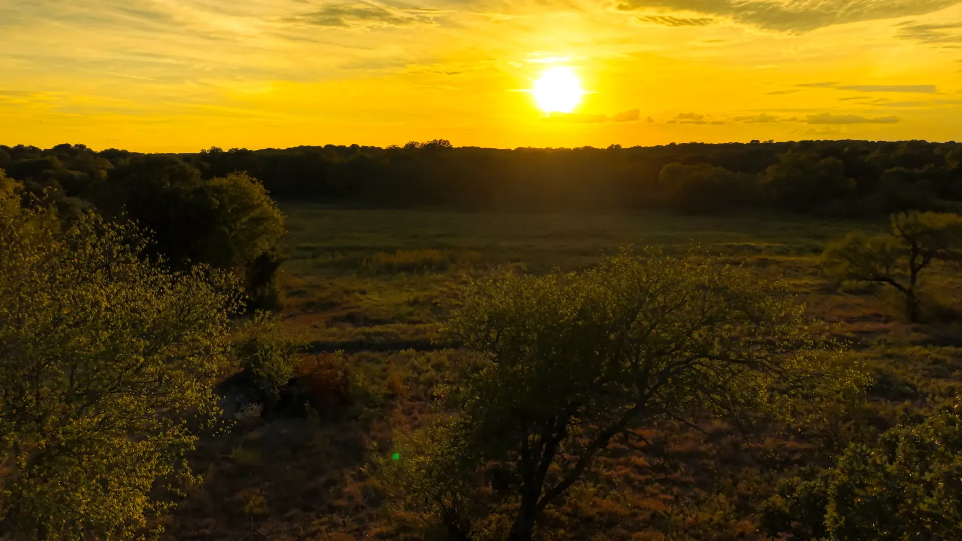 405 ± Acres in Hillsboro, Texas, photo 8