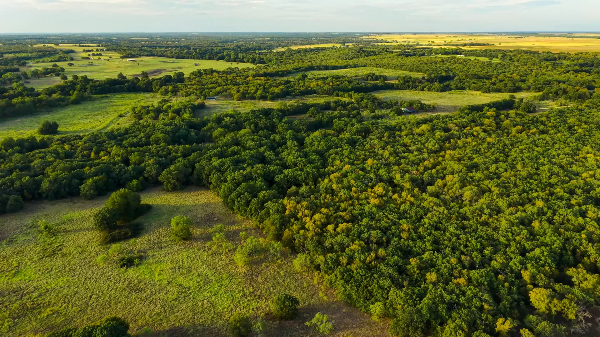 405 ± Acres in Hillsboro, Texas, photo 9