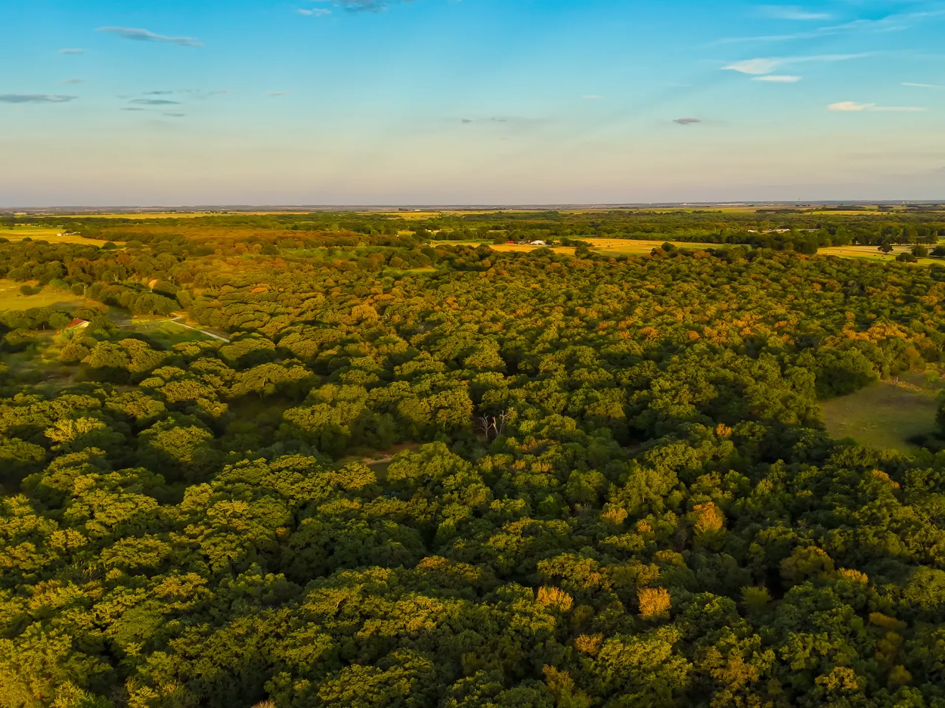 405 ± Acres in Hillsboro, Texas, photo 36