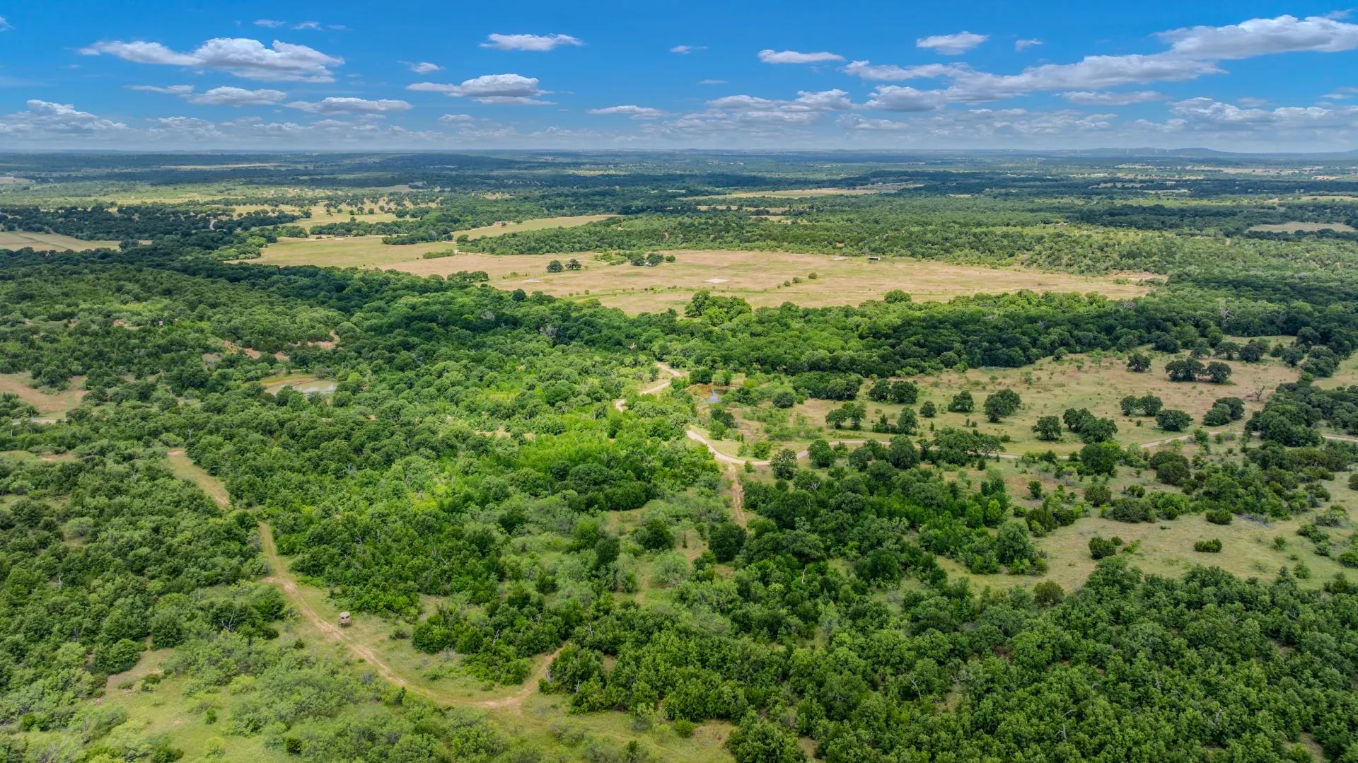 Rhodes Ranch: 206.5 ± Acres Near Bryson, Texas, photo 11