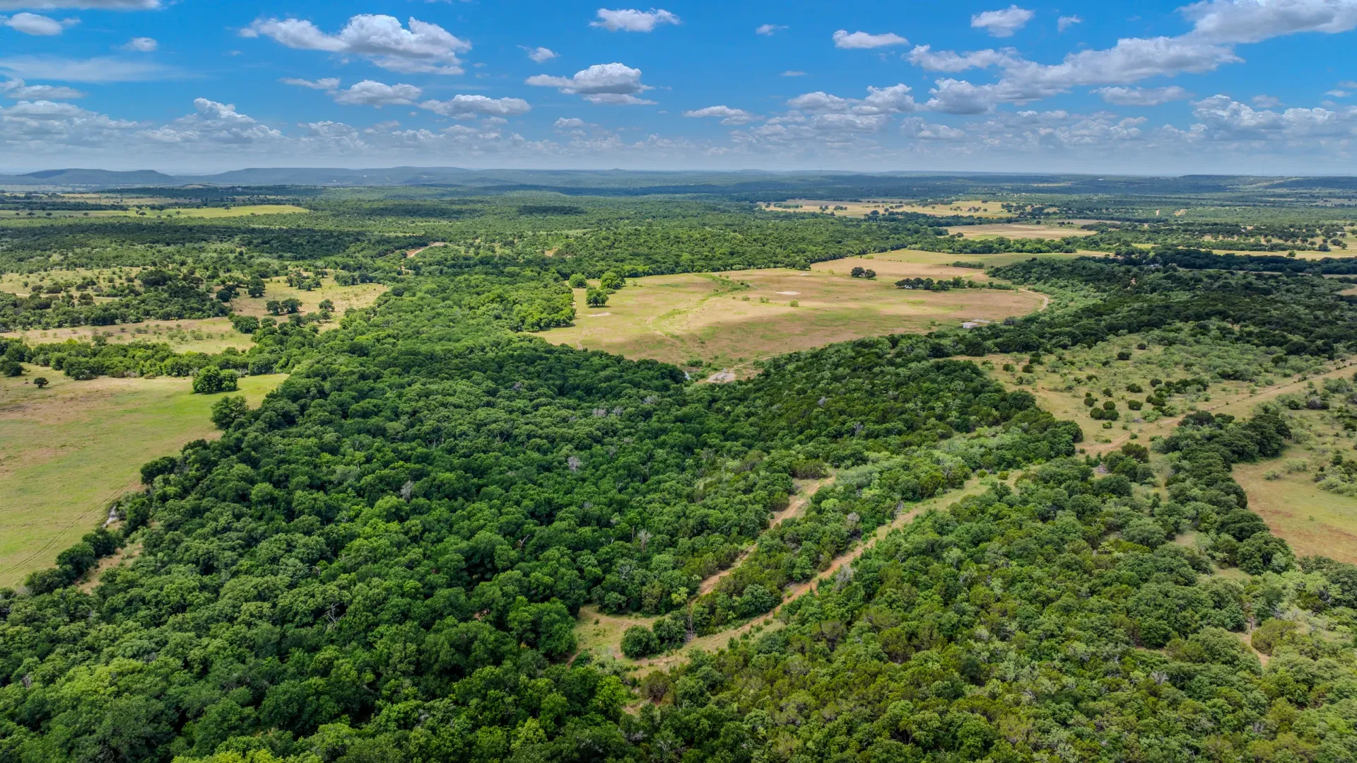Rhodes Ranch: 206.5 ± Acres Near Bryson, Texas, photo 13