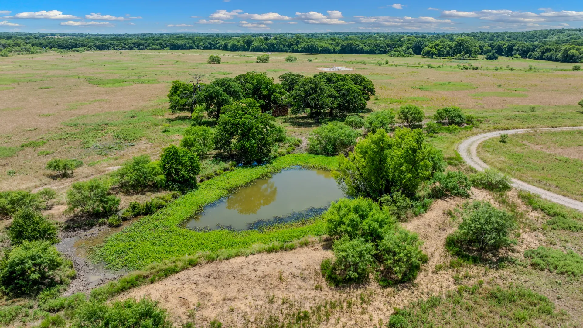 Rhodes Ranch: 206.5 ± Acres Near Bryson, Texas, photo 2