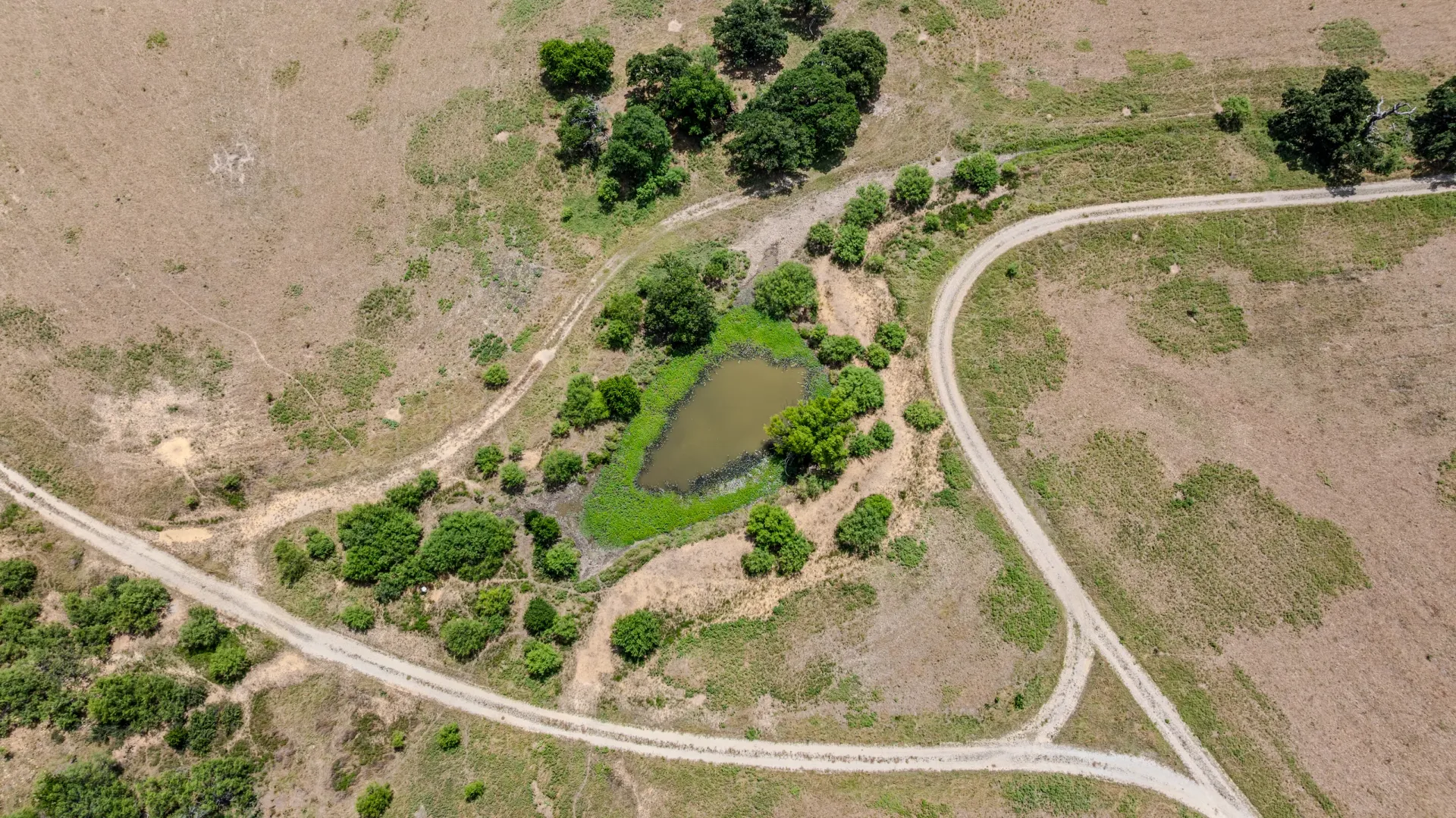Rhodes Ranch: 206.5 ± Acres Near Bryson, Texas, photo 3
