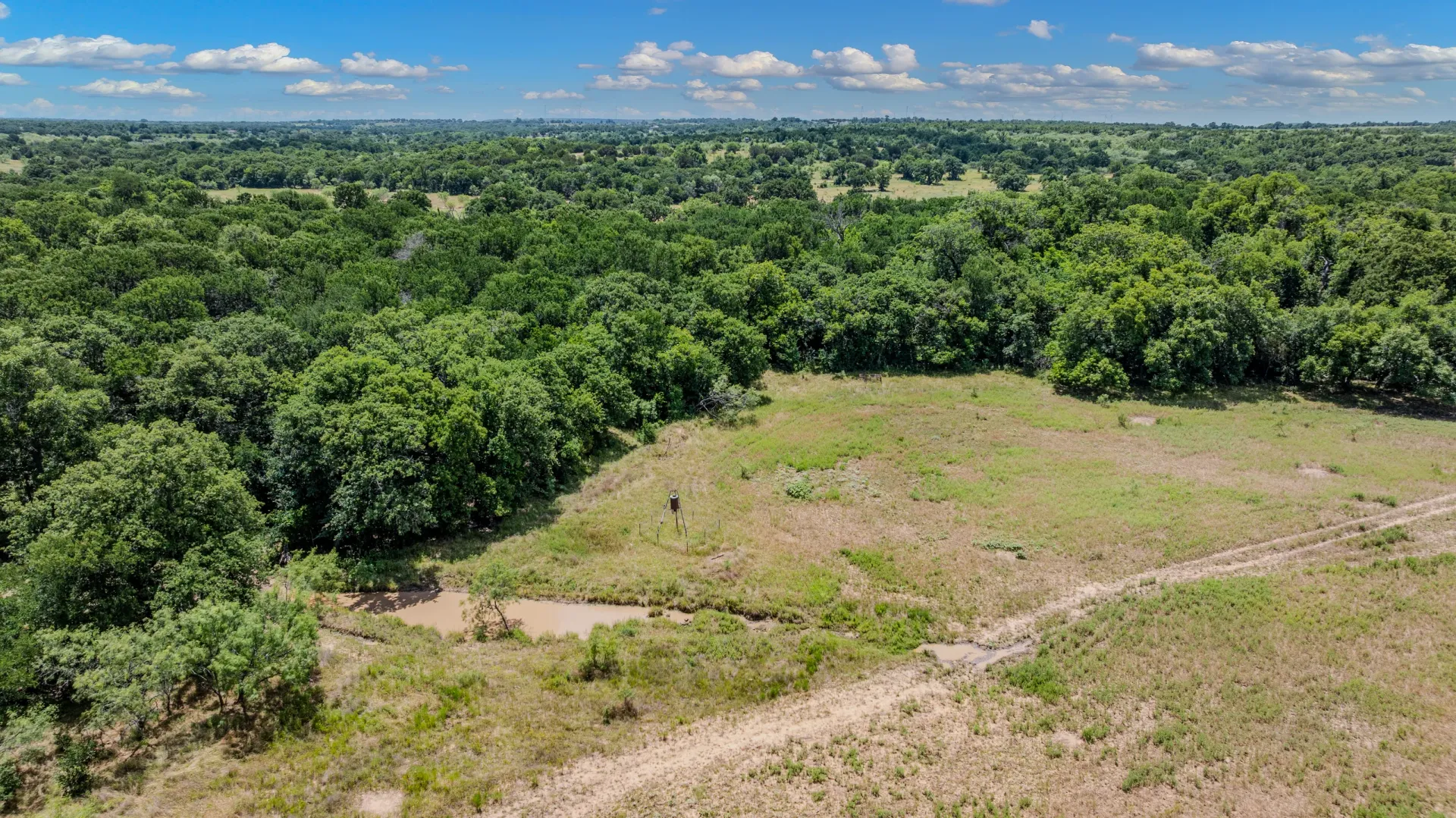 Rhodes Ranch: 206.5 ± Acres Near Bryson, Texas, photo 18