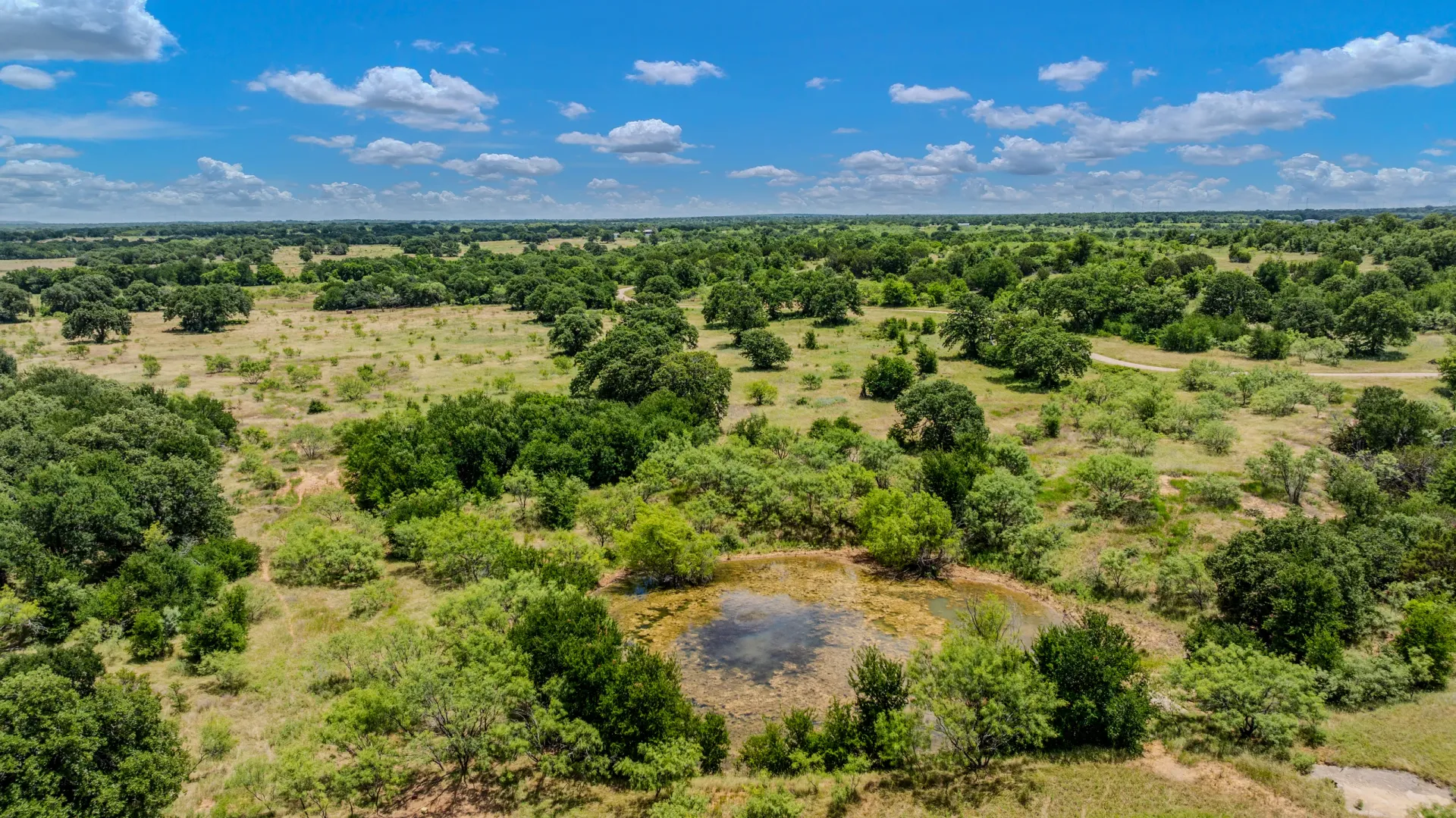 Rhodes Ranch: 206.5 ± Acres Near Bryson, Texas, photo 22