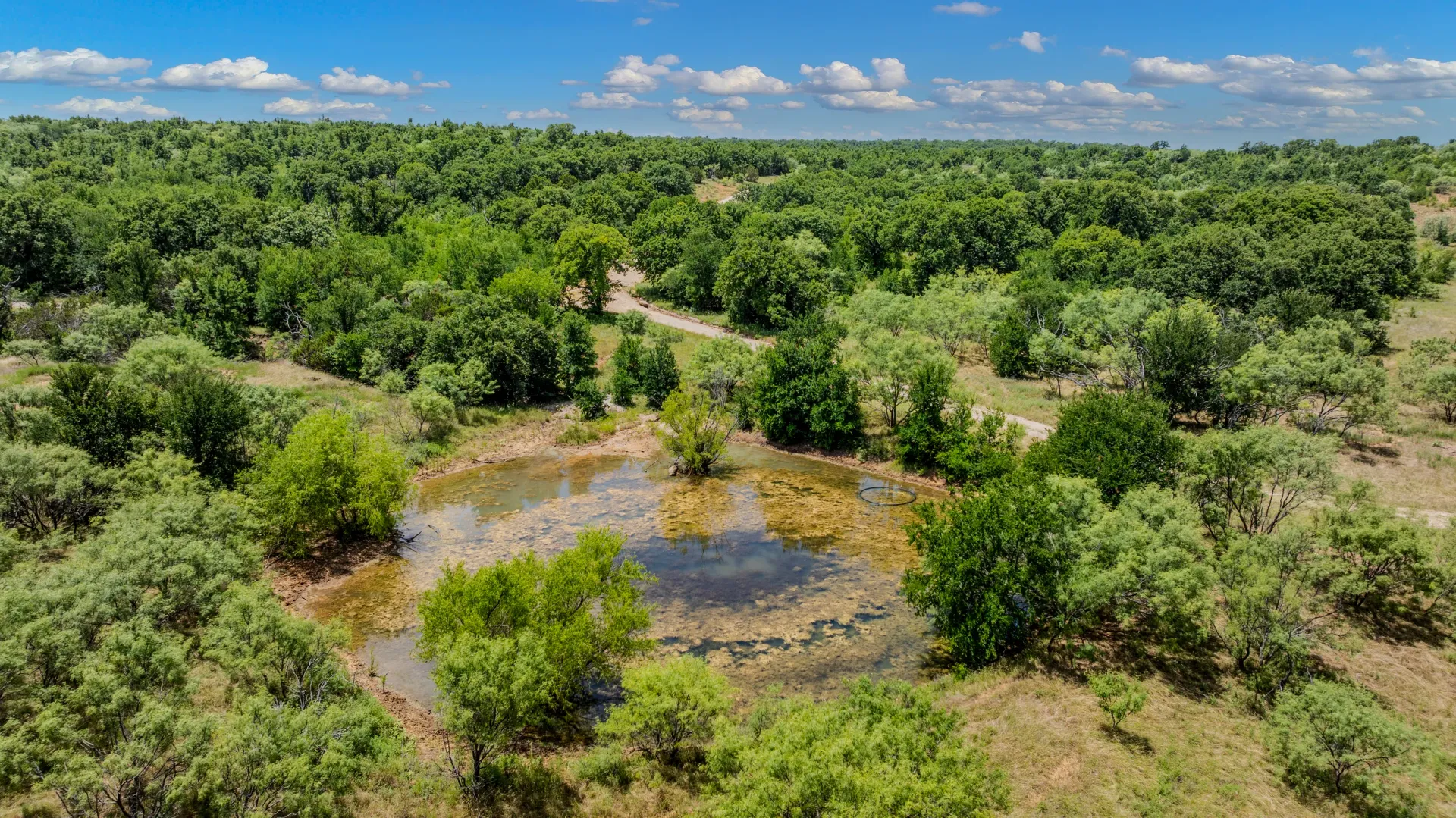 Rhodes Ranch: 206.5 ± Acres Near Bryson, Texas, photo 23