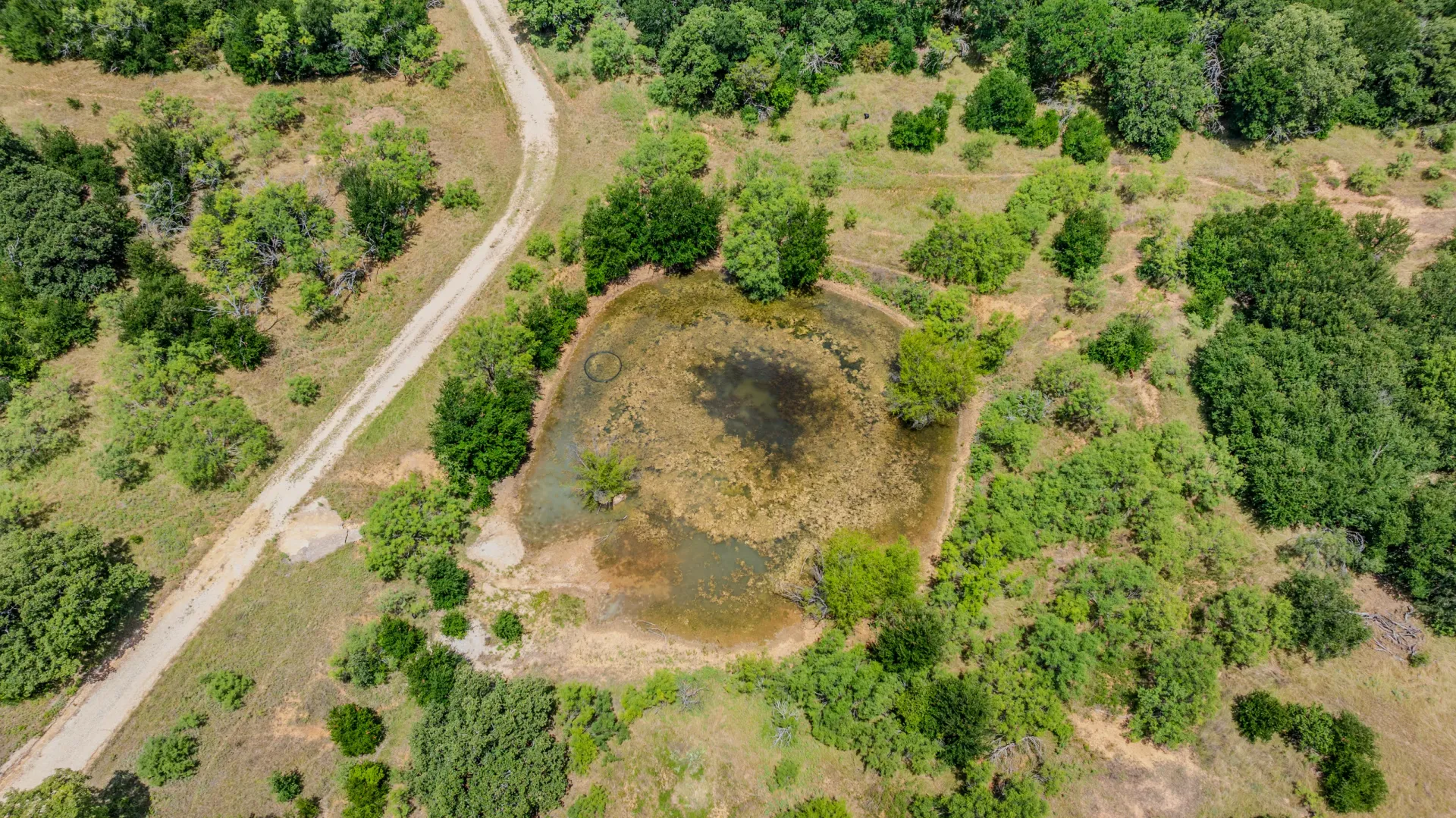 Rhodes Ranch: 206.5 ± Acres Near Bryson, Texas, photo 24