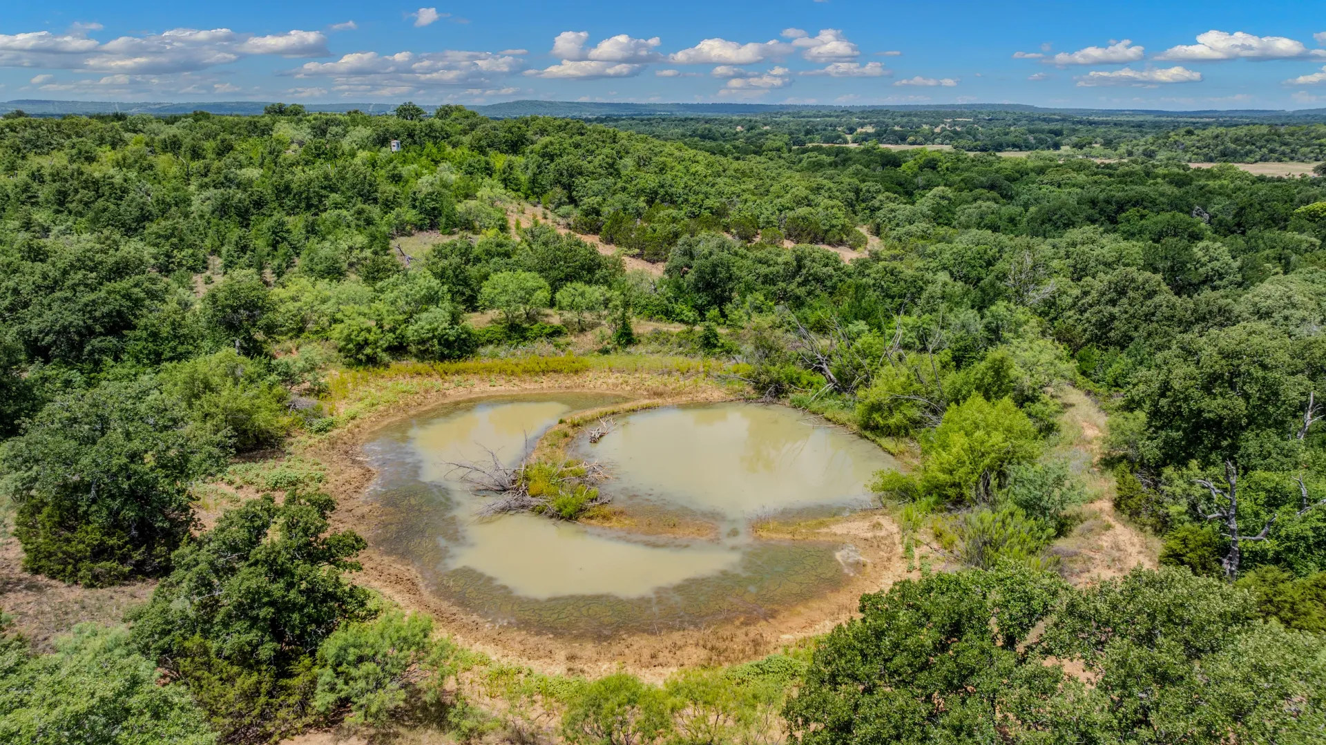 Rhodes Ranch: 206.5 ± Acres Near Bryson, Texas, photo 25