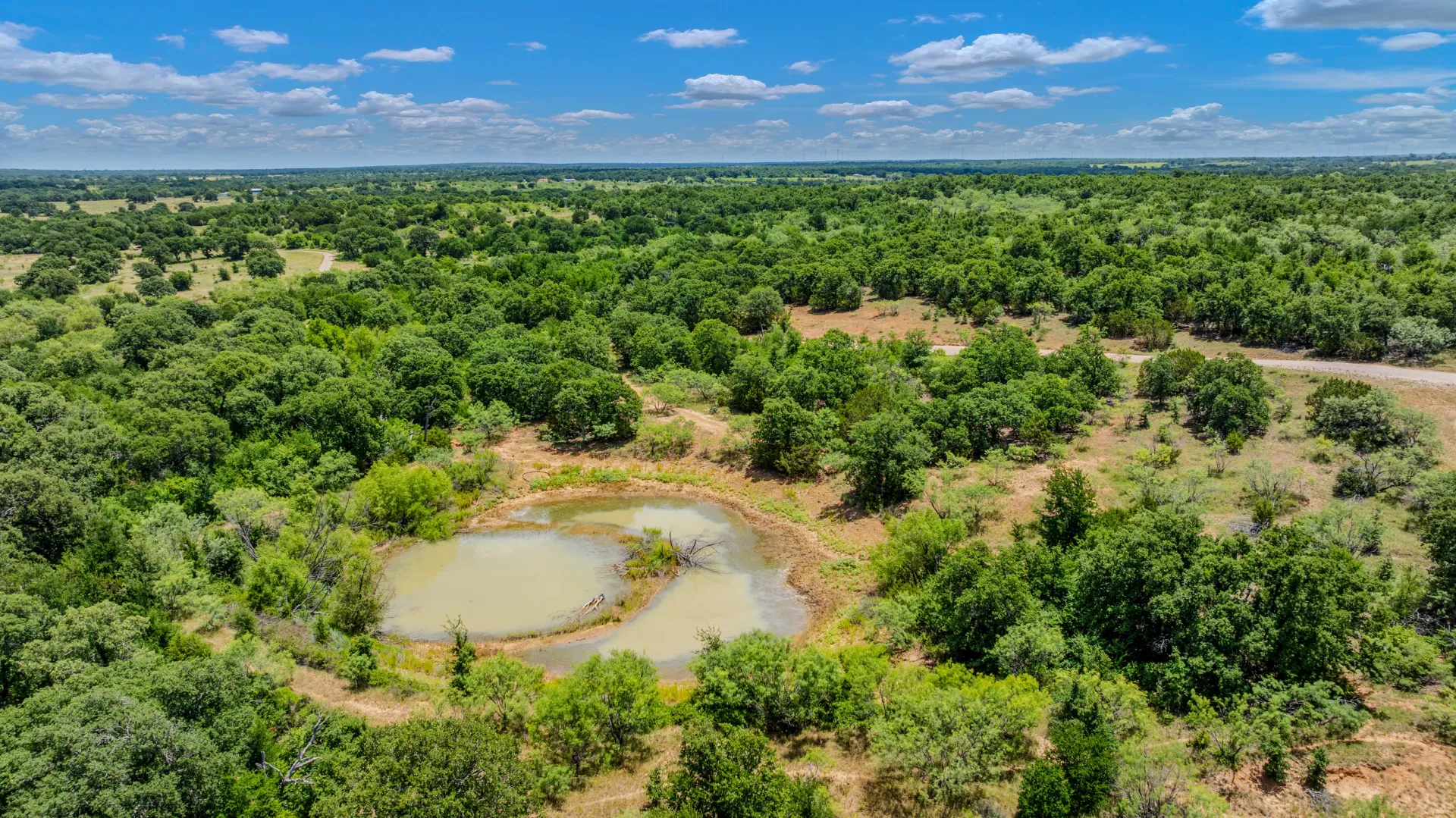 Rhodes Ranch: 206.5 ± Acres Near Bryson, Texas, photo 26