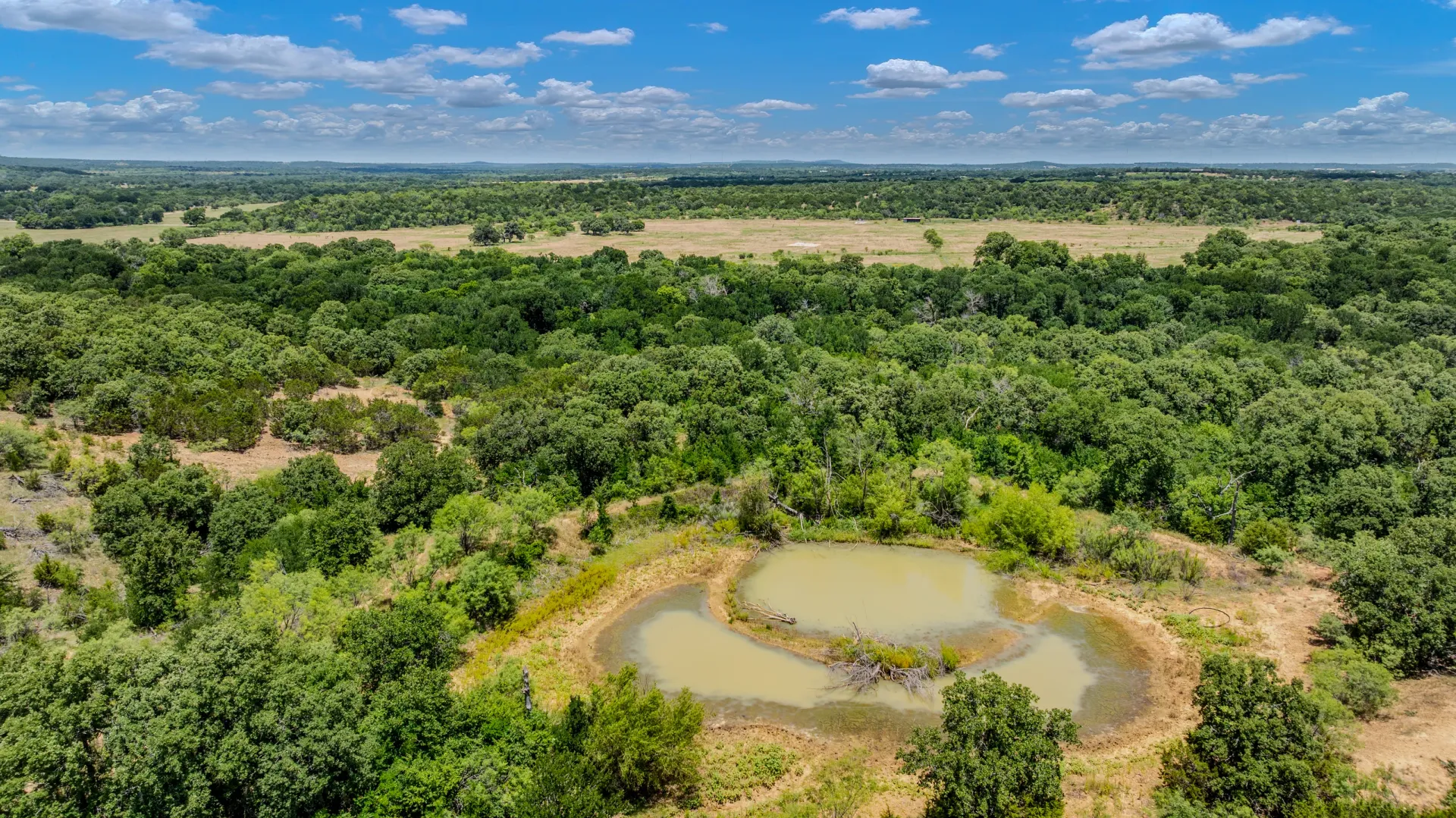 Rhodes Ranch: 206.5 ± Acres Near Bryson, Texas, photo 27