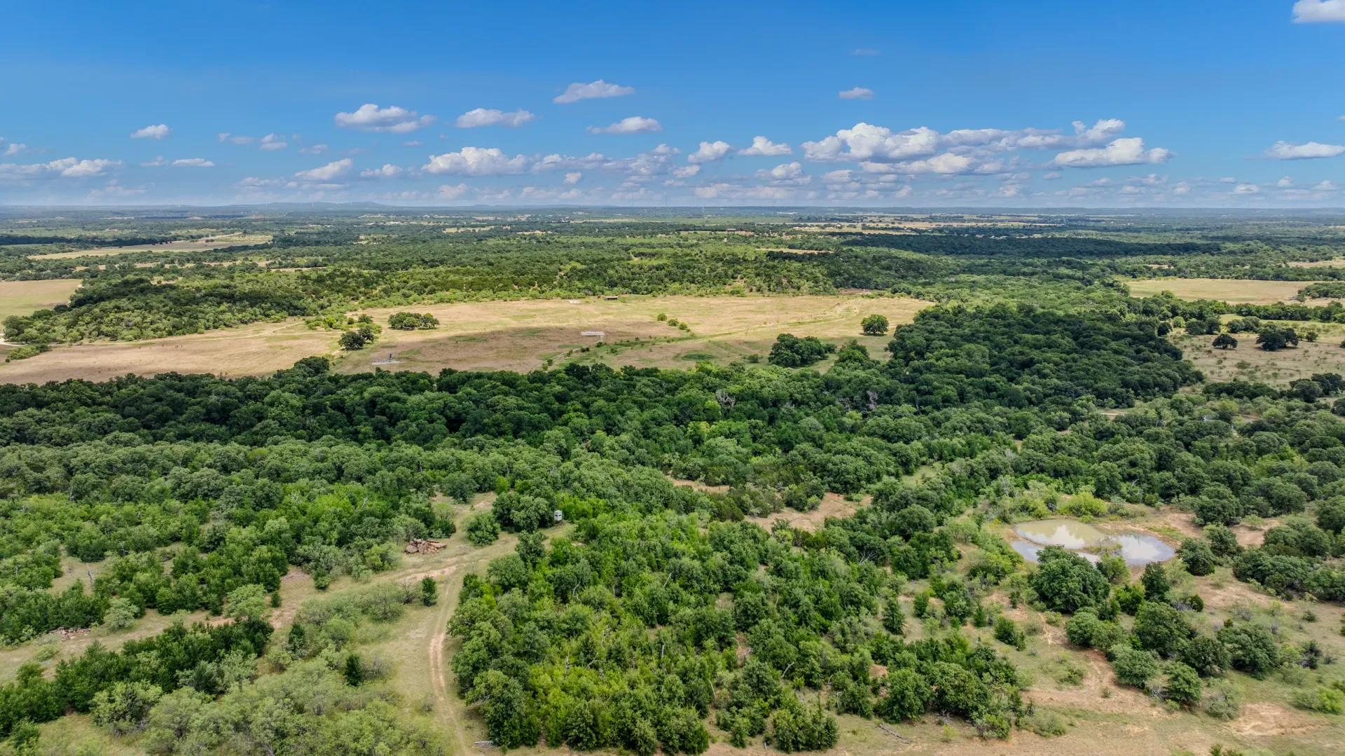 Rhodes Ranch: 206.5 ± Acres Near Bryson, Texas, photo 30