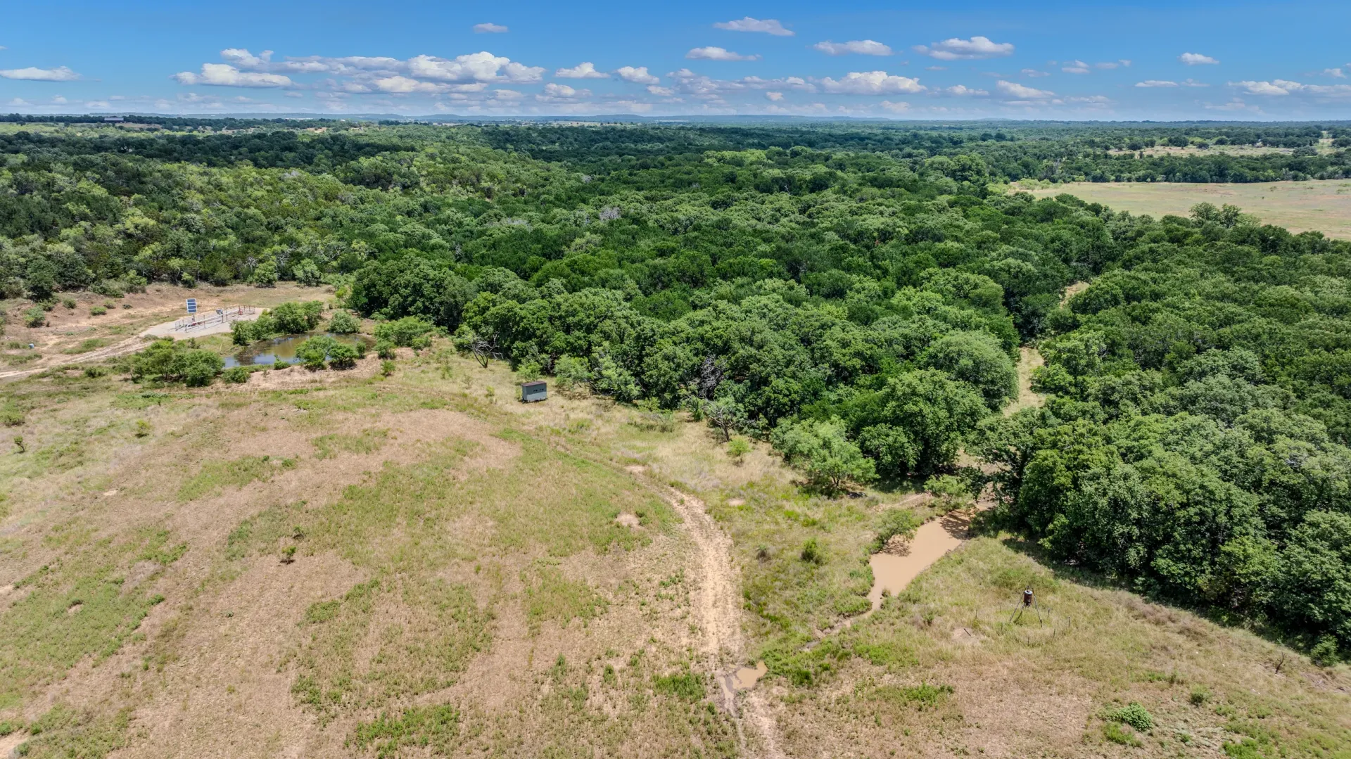 Rhodes Ranch: 206.5 ± Acres Near Bryson, Texas, photo 36